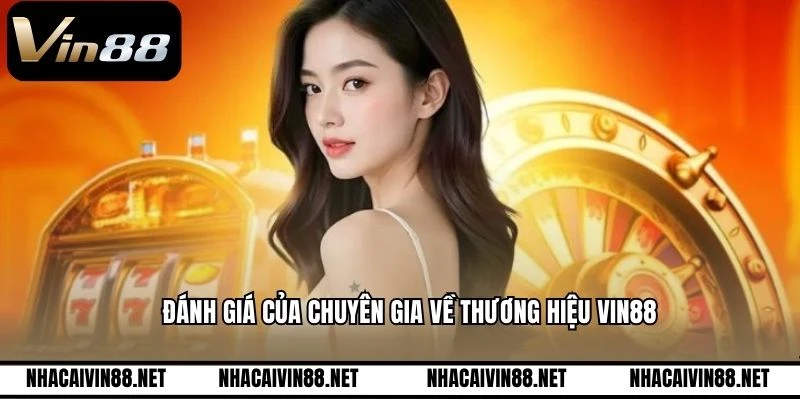 Đánh giá của chuyên gia về thương hiệu VIN88